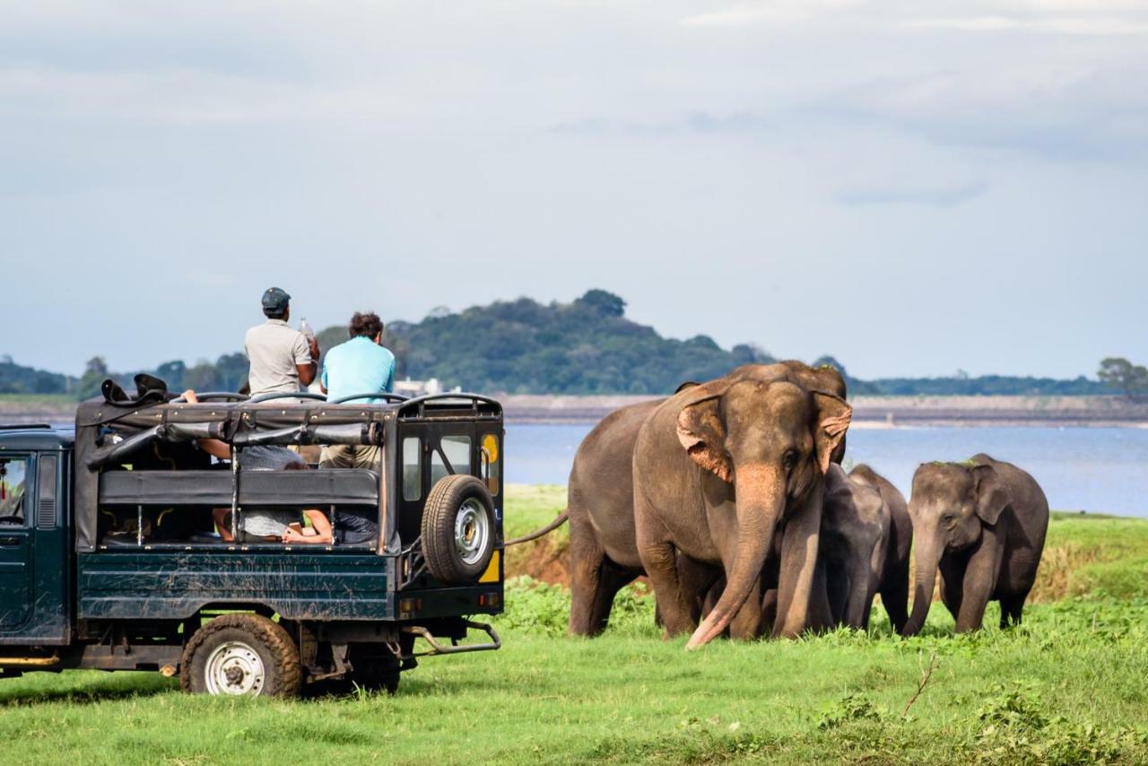 Dimuthu Homestay Udawalawe Exteriör bild